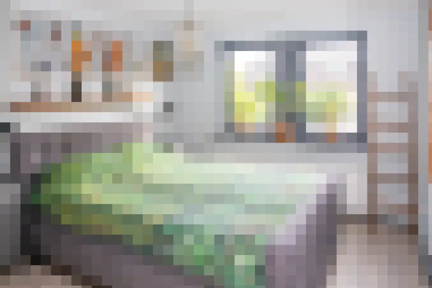 Nassaulaan 20 Kesteren thumbnail 23