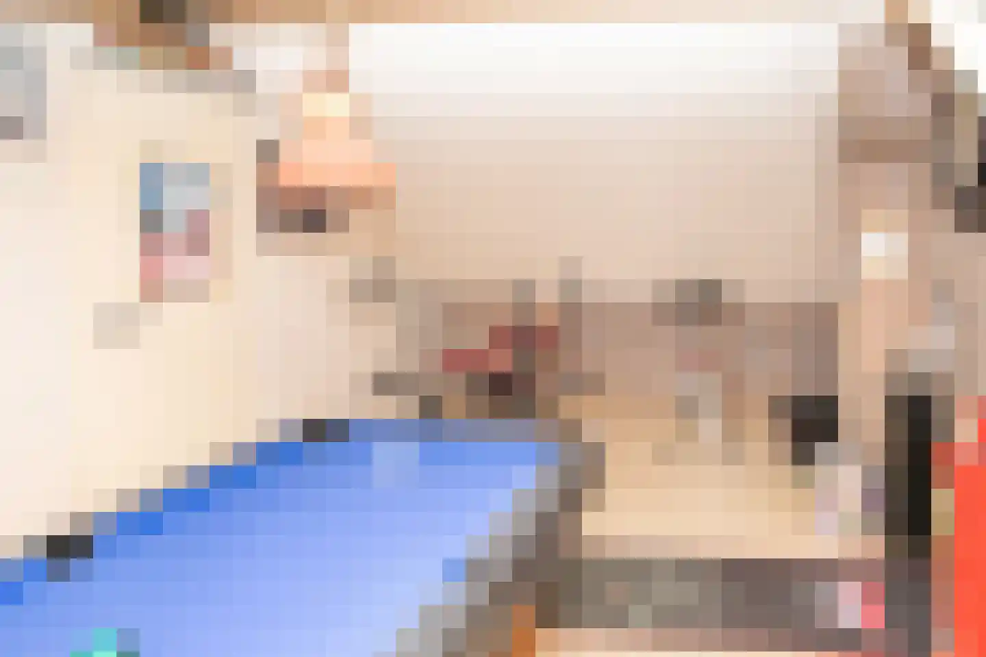 Nassaulaan 20 Kesteren thumbnail 38