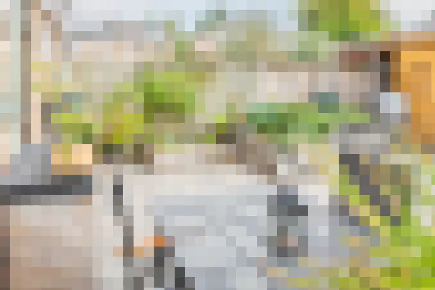 Nassaulaan 20 Kesteren thumbnail 41
