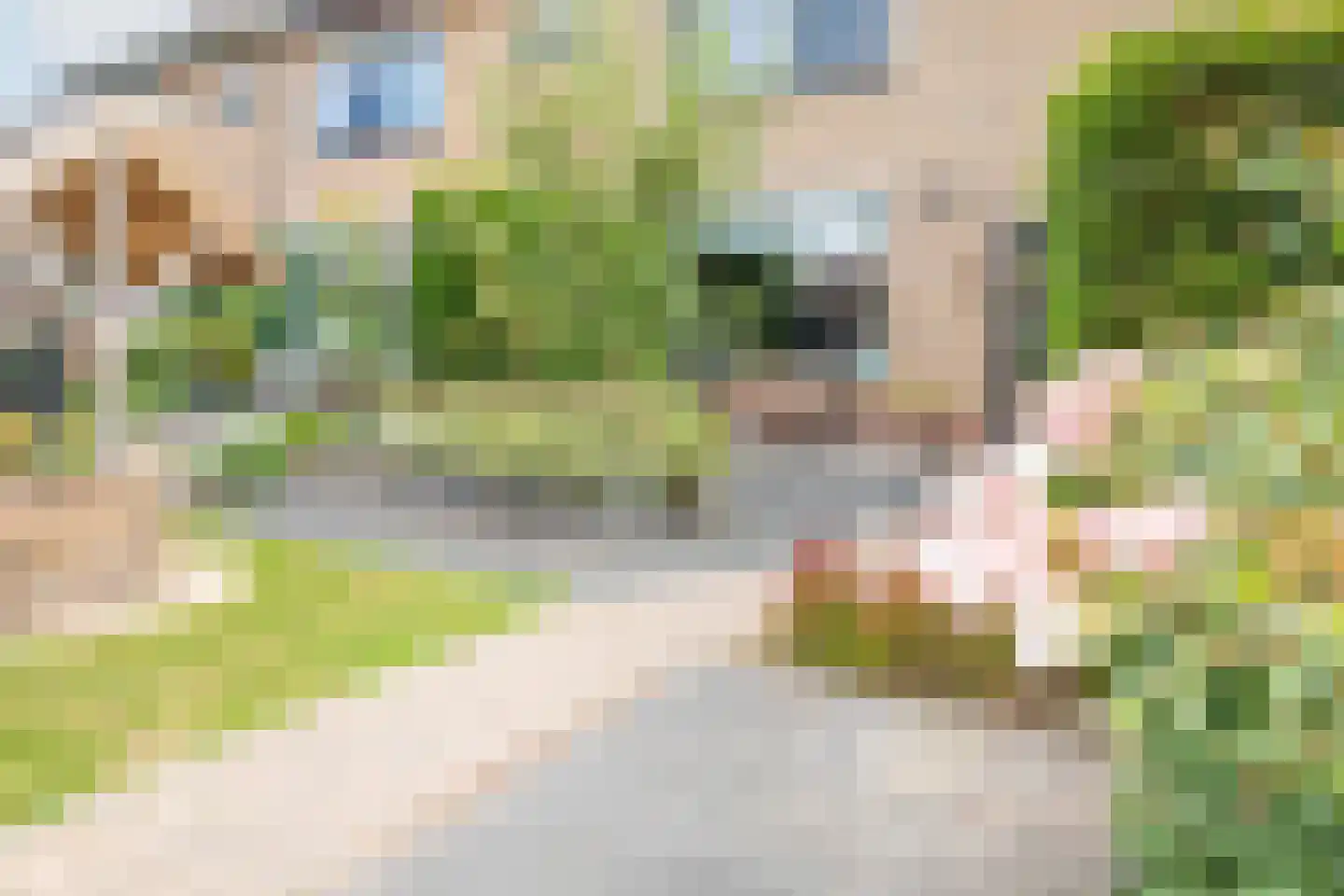 Nassaulaan 20 Kesteren thumbnail 54