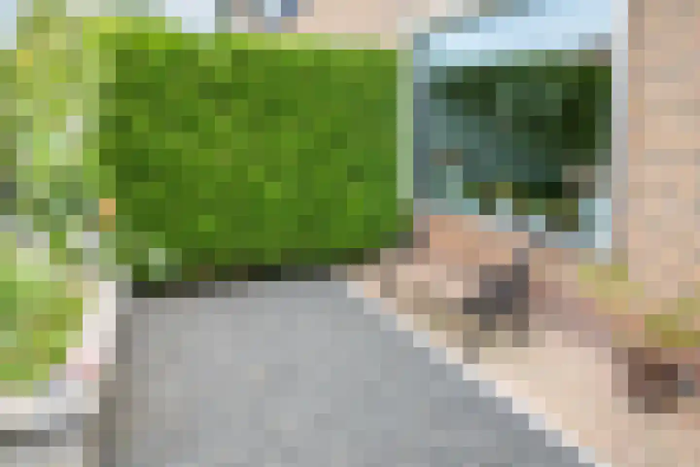 Nassaulaan 20 Kesteren thumbnail 56