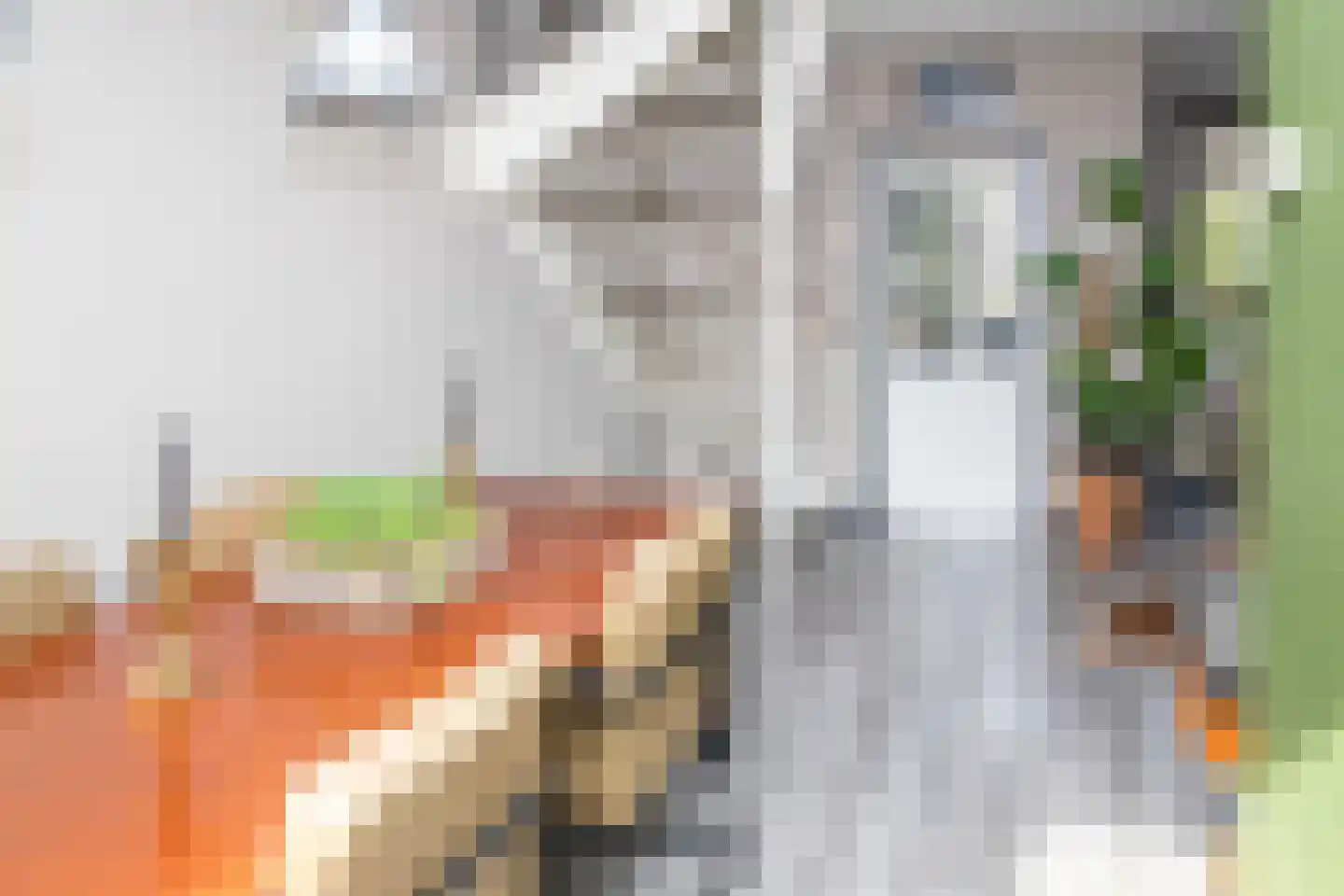 Nassaulaan 20 Kesteren thumbnail 60