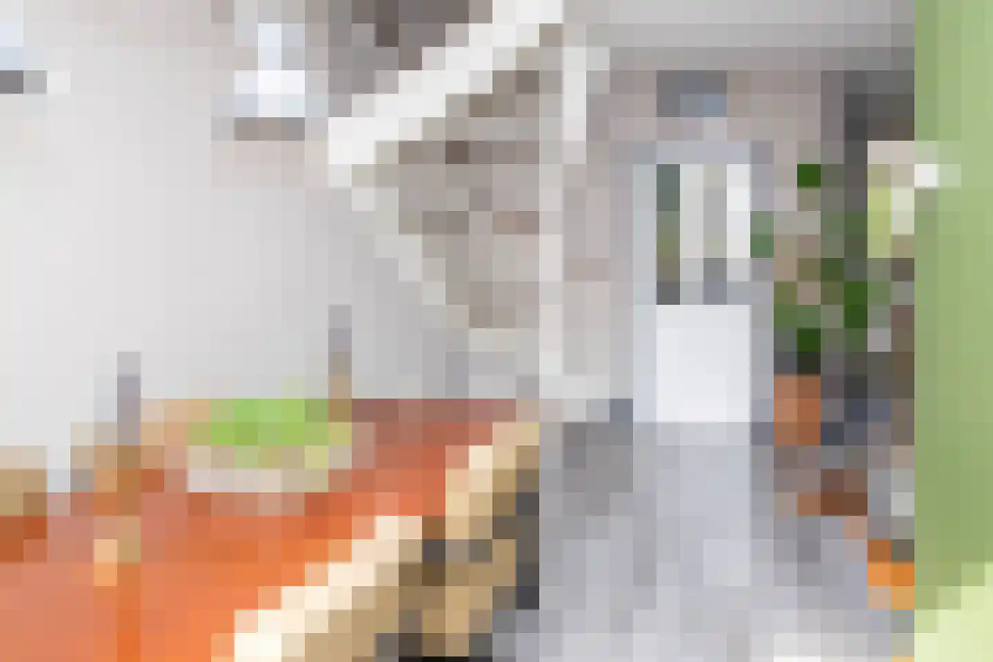 Nassaulaan 20 Kesteren thumbnail 63