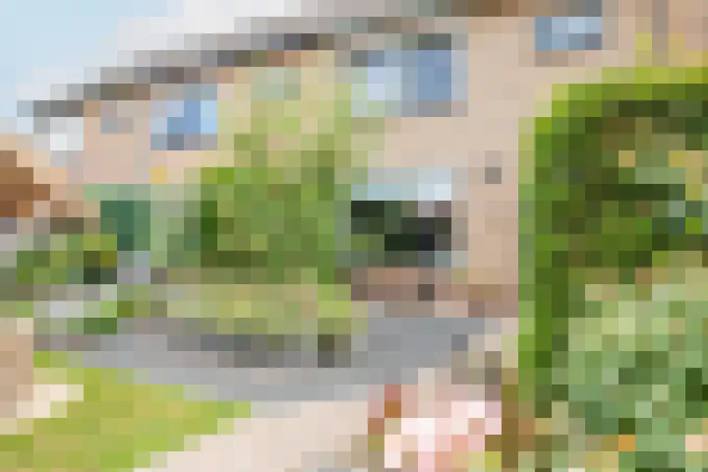 Nassaulaan 20 Kesteren thumbnail 7