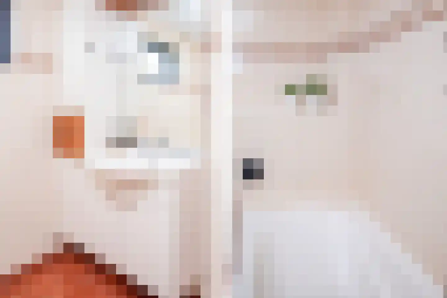 Nassaulaan 20 Kesteren thumbnail 74