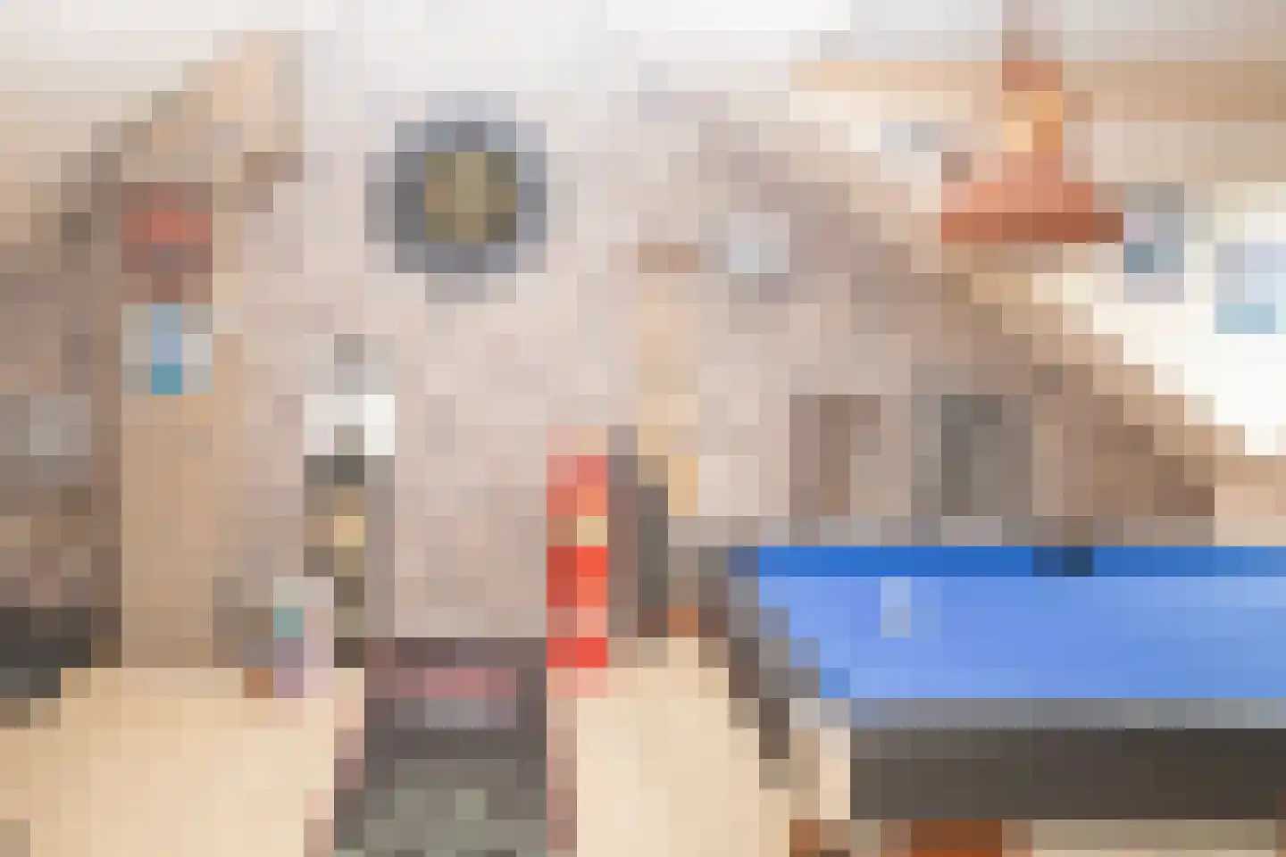 Nassaulaan 20 Kesteren thumbnail 81