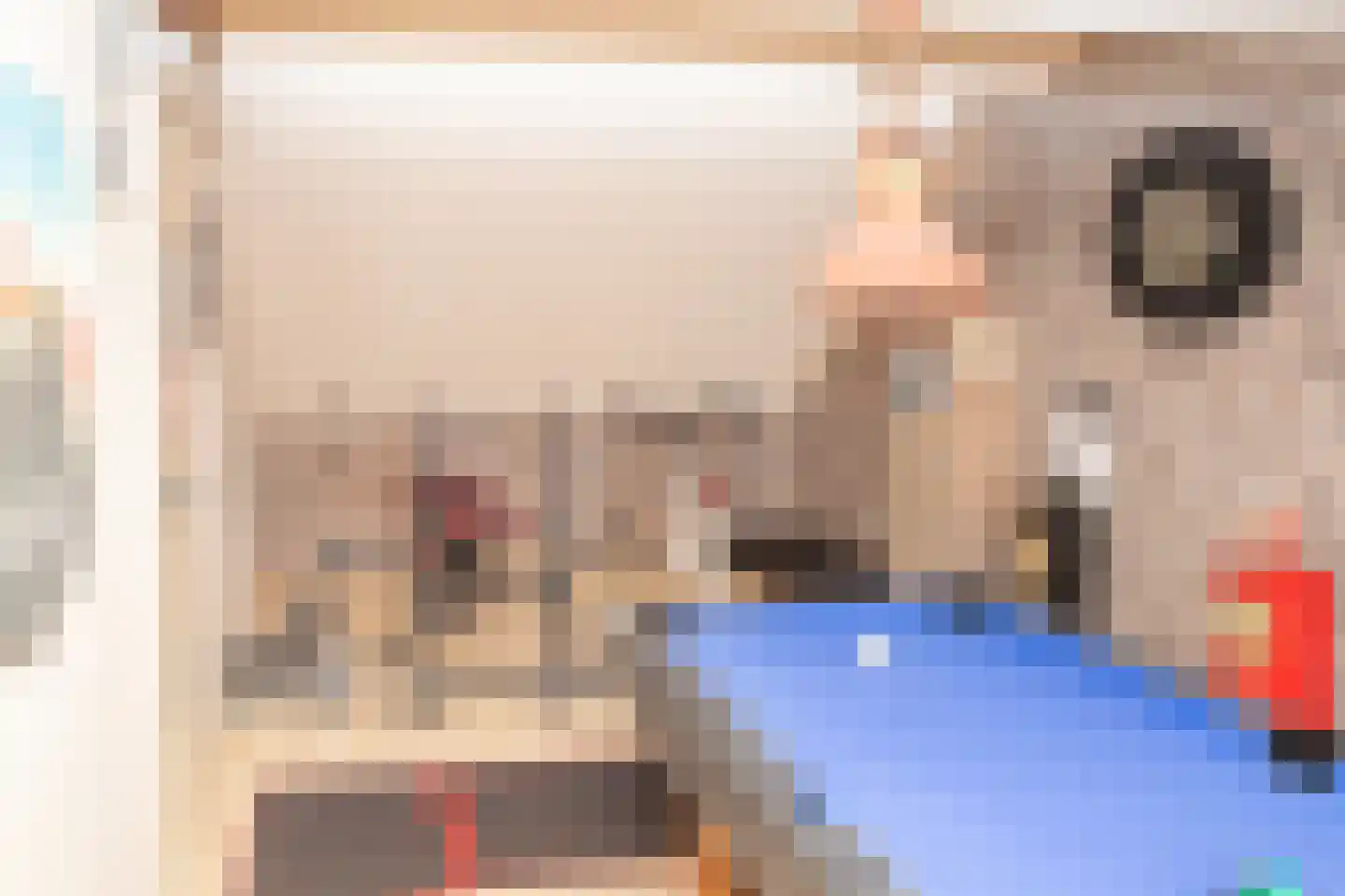 Nassaulaan 20 Kesteren thumbnail 83