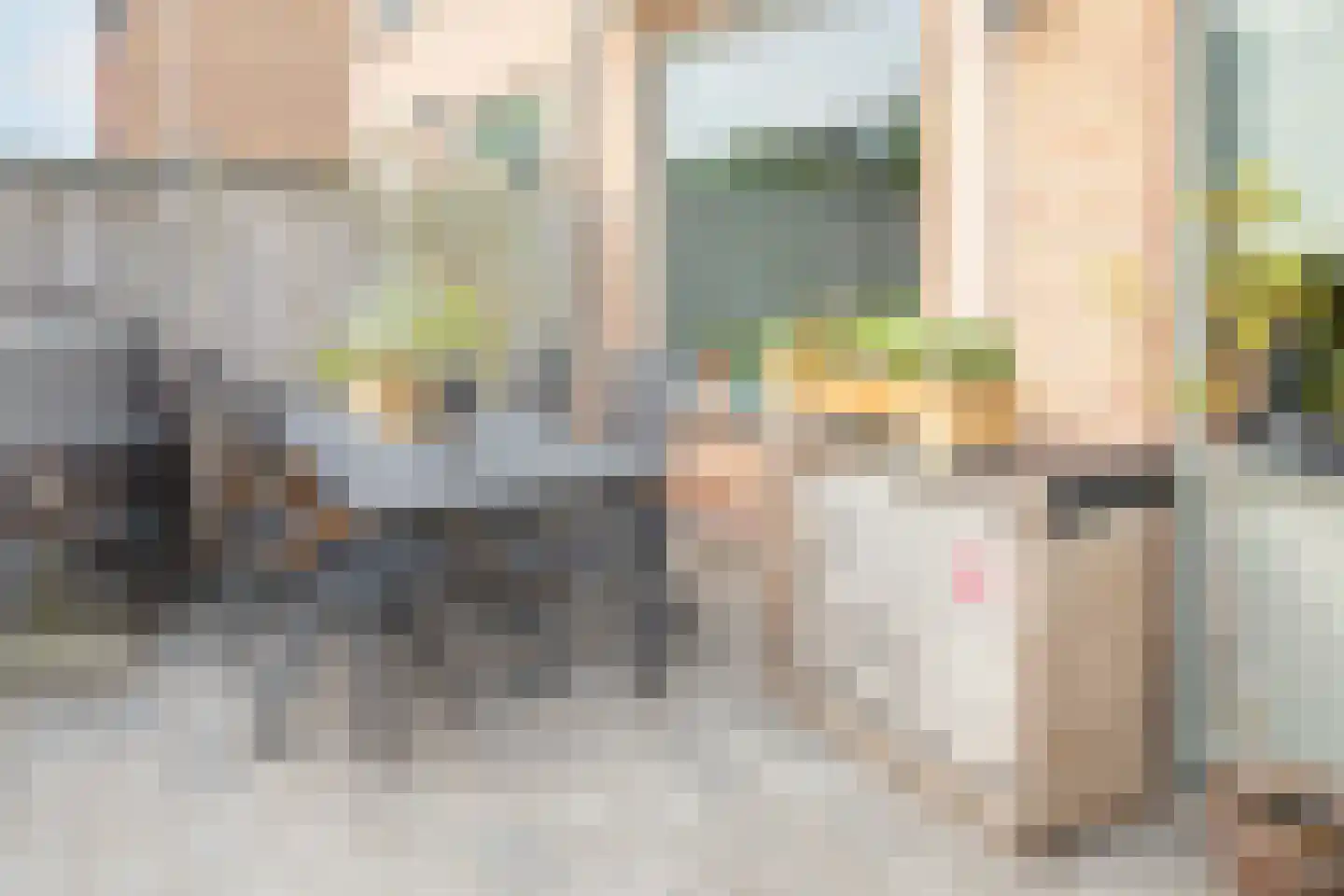 Nassaulaan 20 Kesteren thumbnail 94