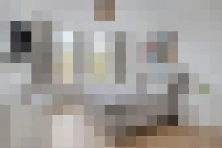 Nassaulaan 20 Schiedam thumbnail 11