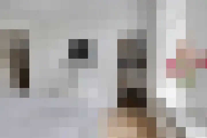 Nassaulaan 20 Schiedam thumbnail 12