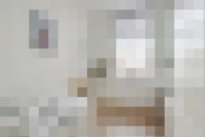 Nassaulaan 20 Schiedam thumbnail 15