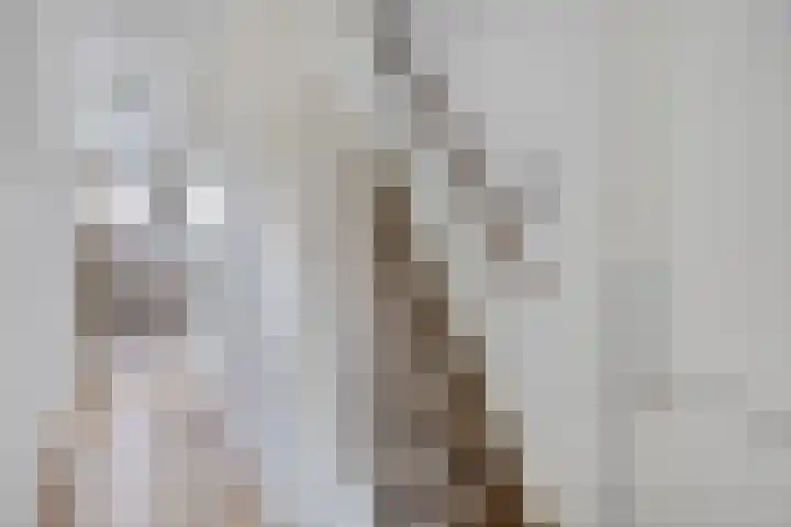 Nassaulaan 20 Schiedam thumbnail 17