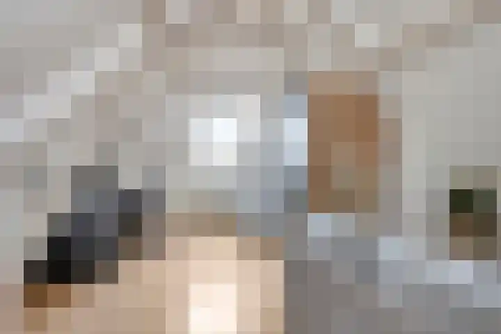 Nassaulaan 20 Schiedam thumbnail 18