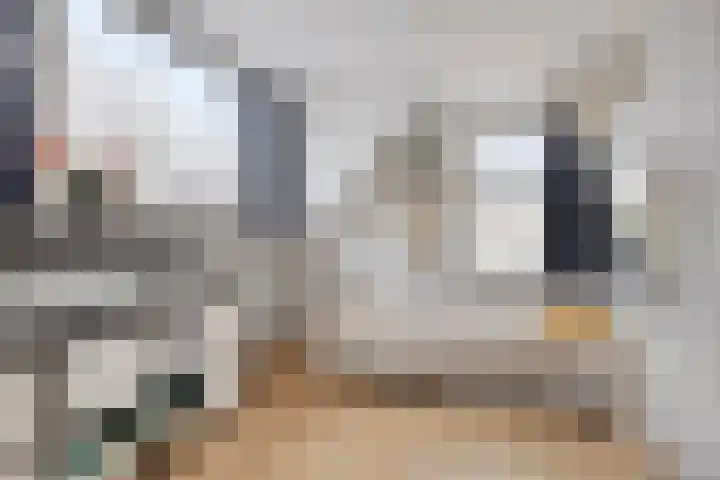Nassaulaan 20 Schiedam thumbnail 20