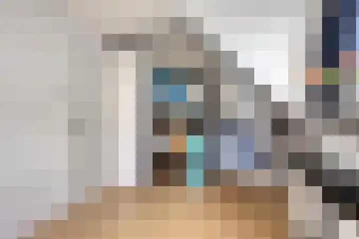 Nassaulaan 20 Schiedam thumbnail 21