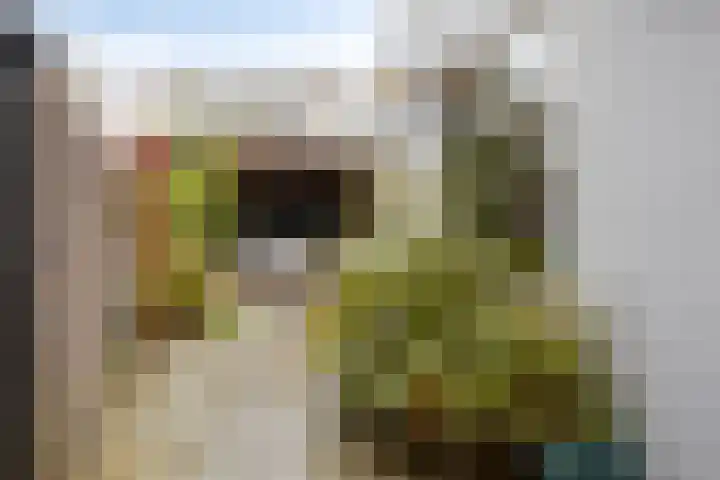 Nassaulaan 20 Schiedam thumbnail 23