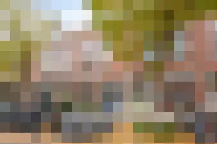 Nassaulaan 20 Schiedam thumbnail 24