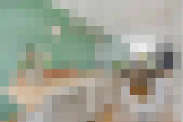 Nassaulaan 20 Schiedam thumbnail 4