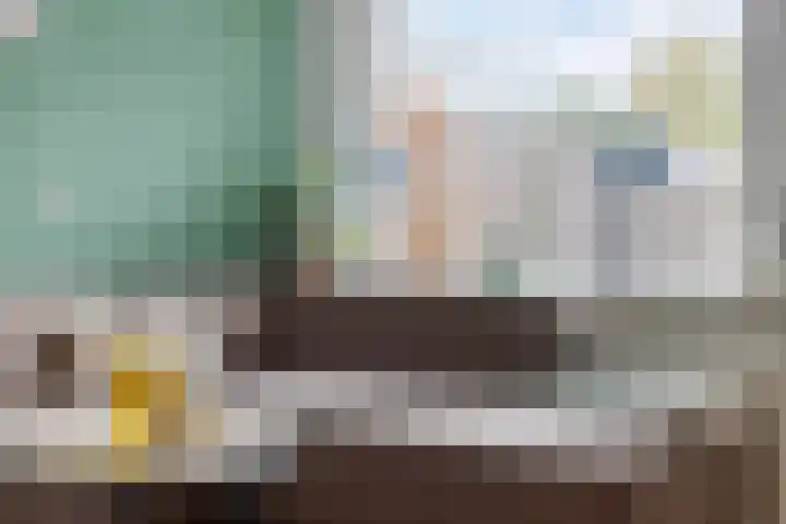 Nassaulaan 20 Schiedam thumbnail 5