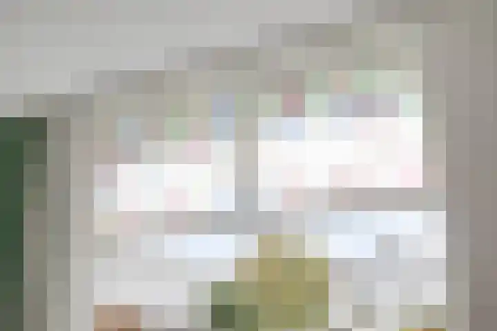 Nassaulaan 20 Schiedam thumbnail 6