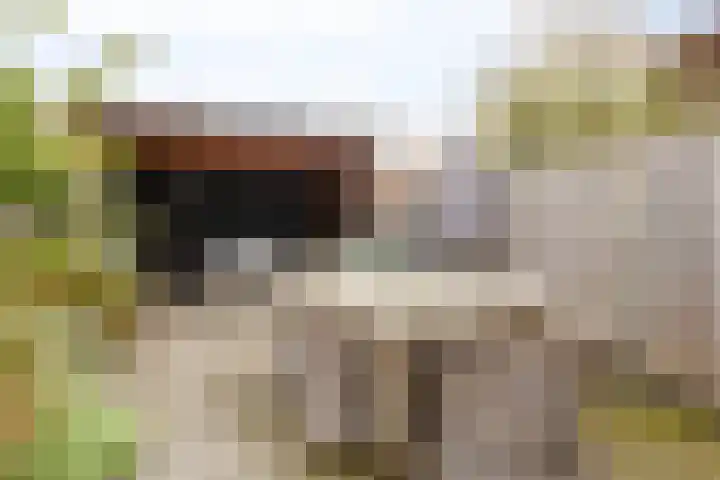 Nassaulaan 20 Schiedam thumbnail 8