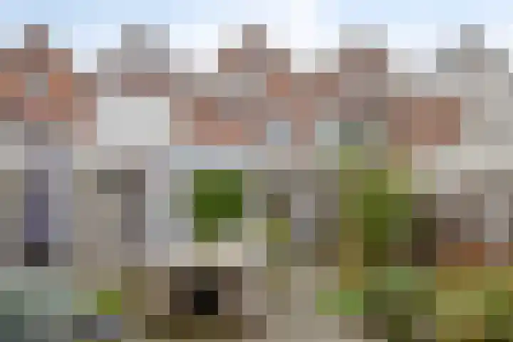 Nassaulaan 20 Schiedam thumbnail 9