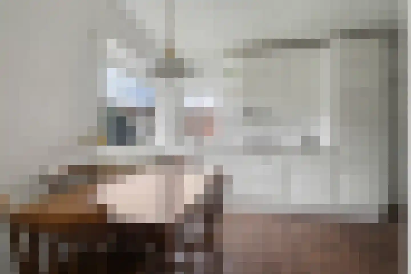 Nassaulaan 21 Baarle-Nassau thumbnail 14