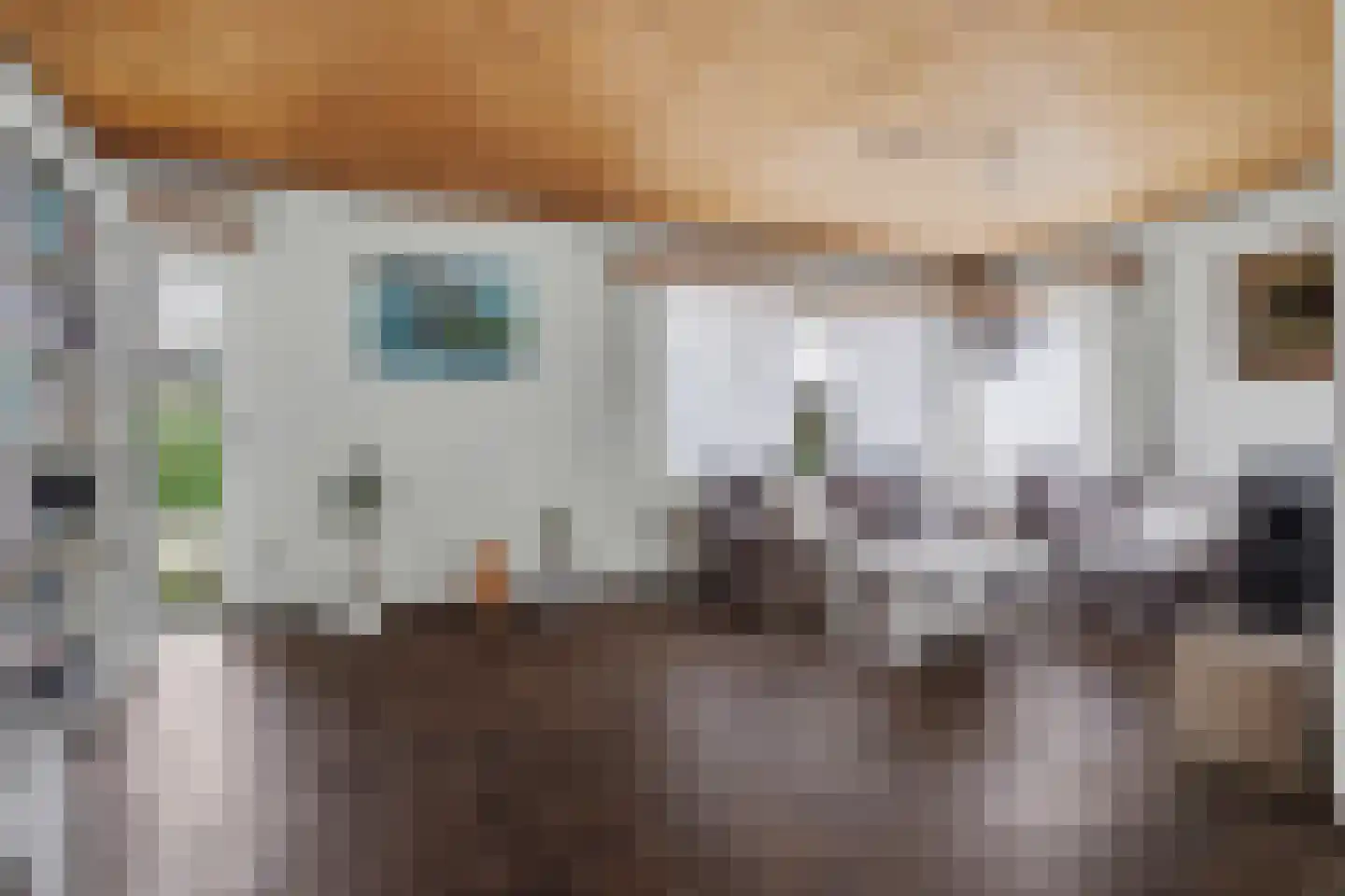 Nassaulaan 21 Baarle-Nassau thumbnail 9