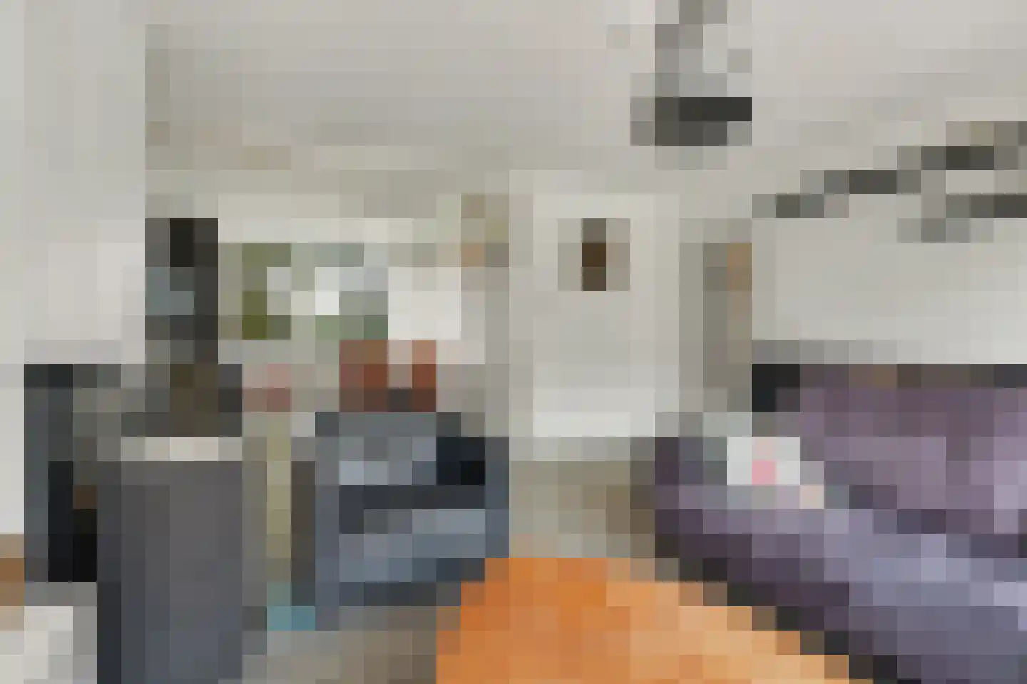 Nassaulaan 21 Middelburg thumbnail 13