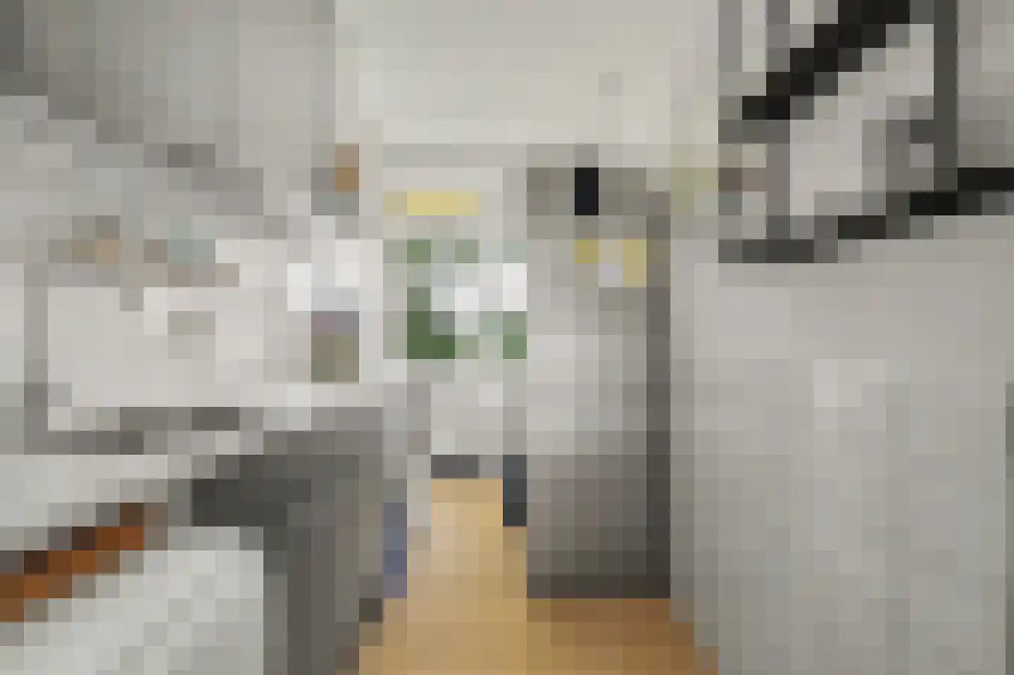 Nassaulaan 21 Middelburg thumbnail 18