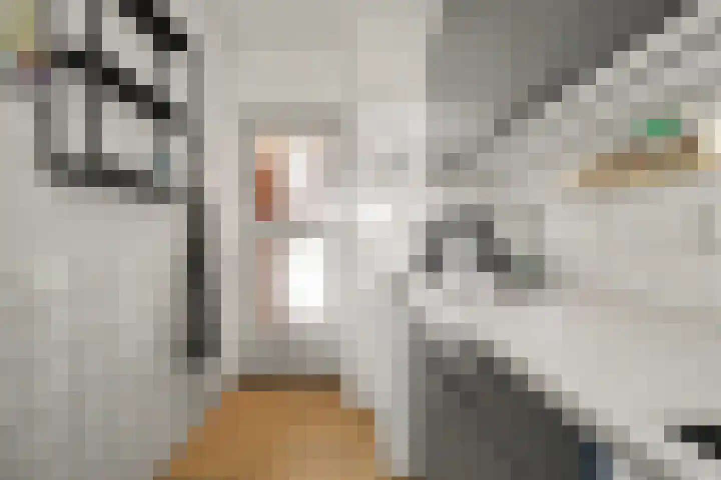Nassaulaan 21 Middelburg thumbnail 19