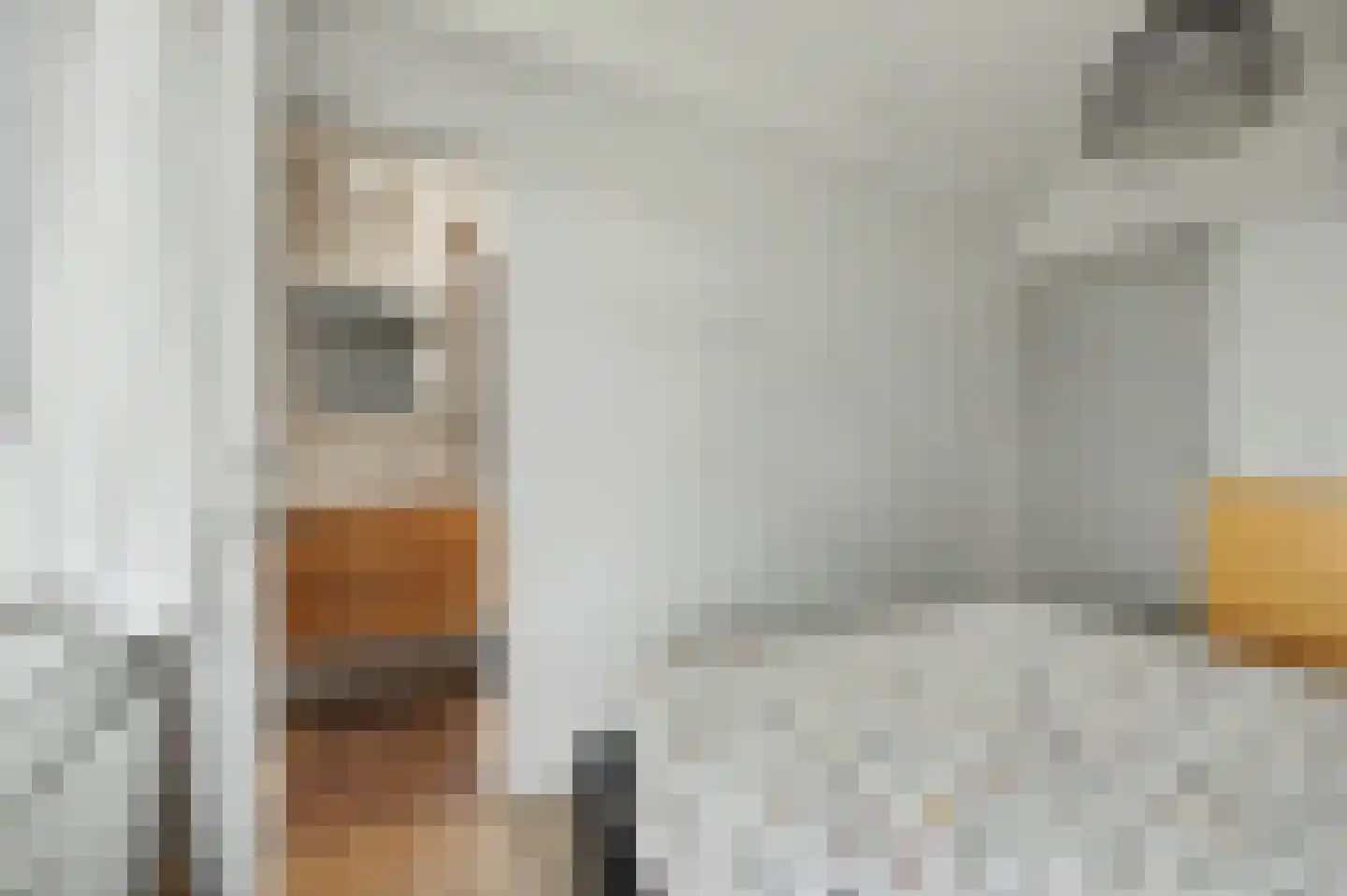 Nassaulaan 21 Middelburg thumbnail 22
