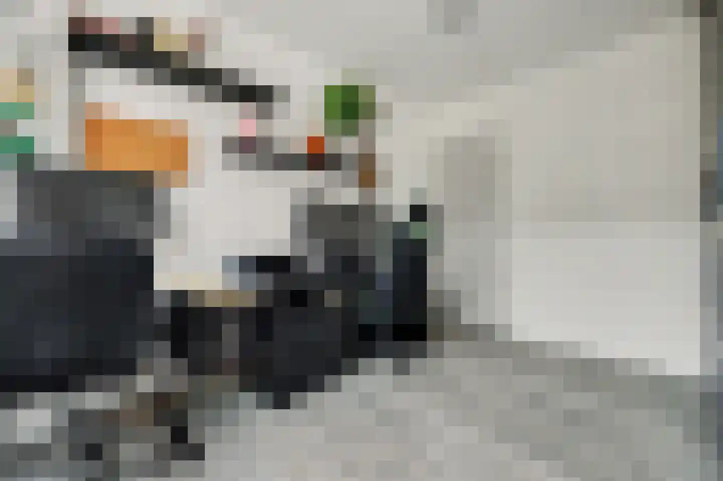 Nassaulaan 21 Middelburg thumbnail 24