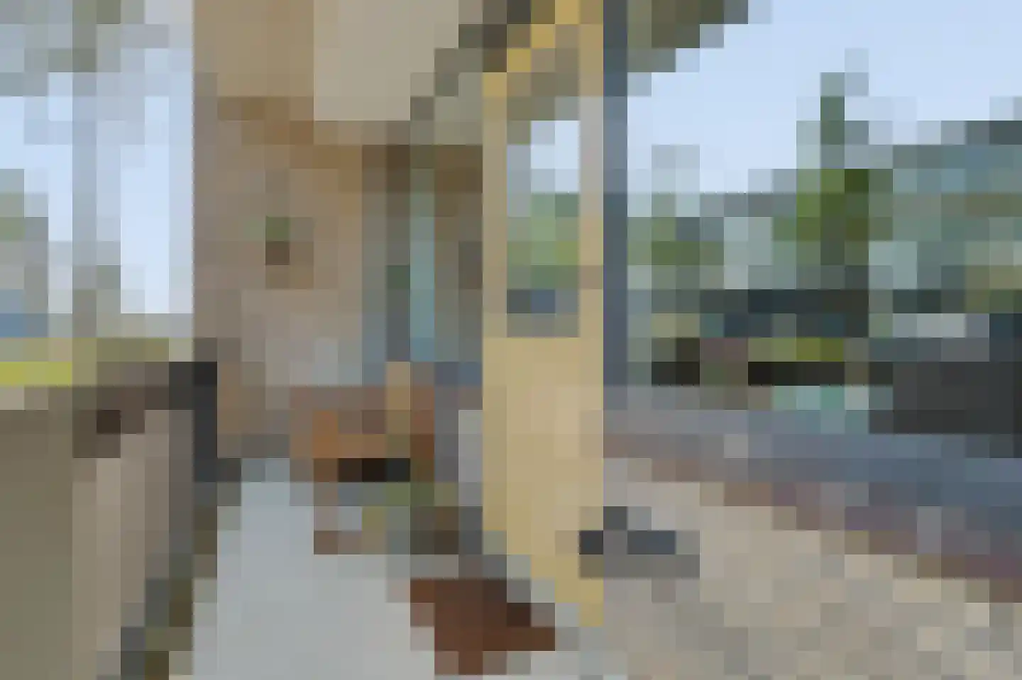 Nassaulaan 21 Middelburg thumbnail 28