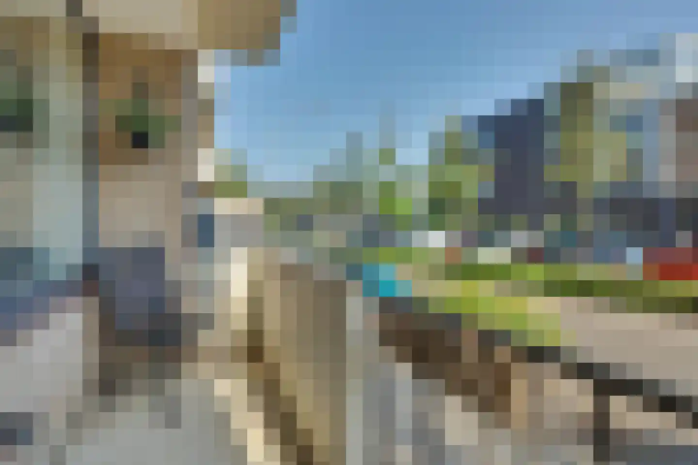 Nassaulaan 21 Middelburg thumbnail 29