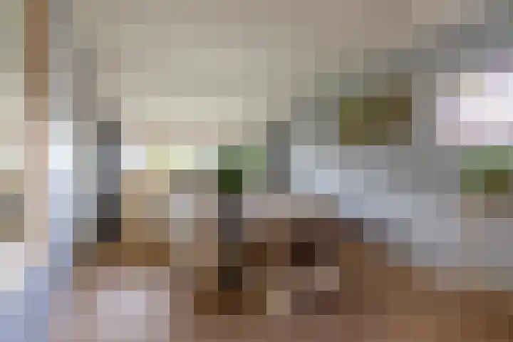 Nassaulaan 21 Rijnsburg thumbnail 14