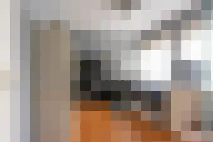 Nassaulaan 21 Rijnsburg thumbnail 17