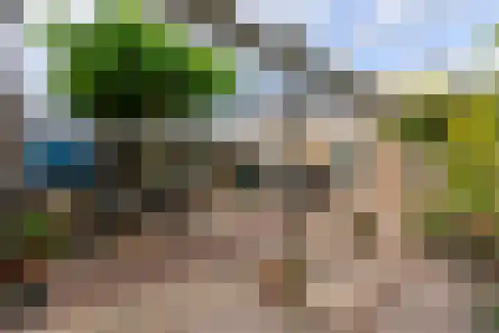 Nassaulaan 21 Rijnsburg thumbnail 25