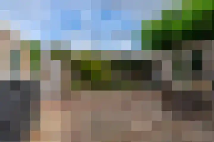 Nassaulaan 21 Rijnsburg thumbnail 26