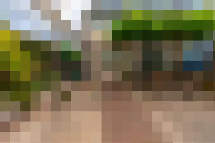 Nassaulaan 21 Rijnsburg thumbnail 28