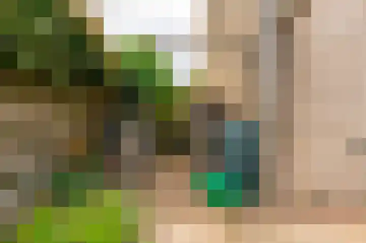 Nassaulaan 21 Rijnsburg thumbnail 29