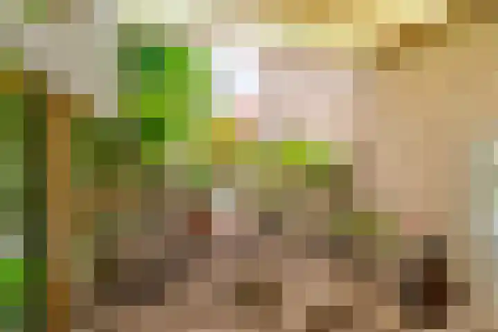 Nassaulaan 21 Rijnsburg thumbnail 30