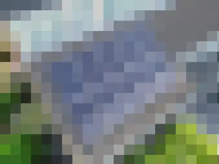 Nassaulaan 21 Rijnsburg thumbnail 31