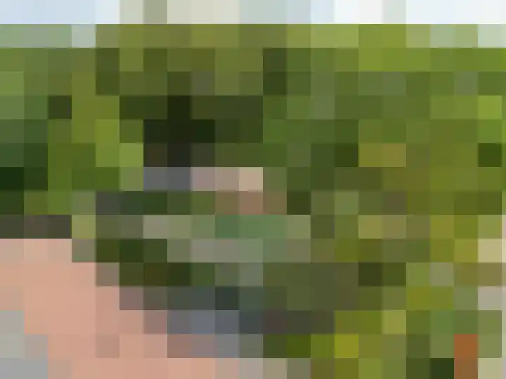 Nassaulaan 21 Rijnsburg thumbnail 38