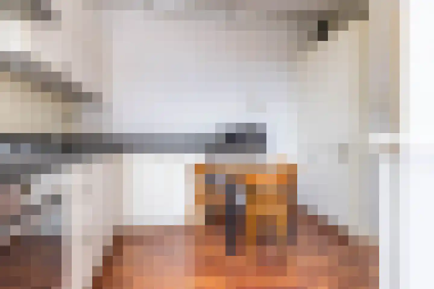 Nassaulaan 22 a Groningen thumbnail 22