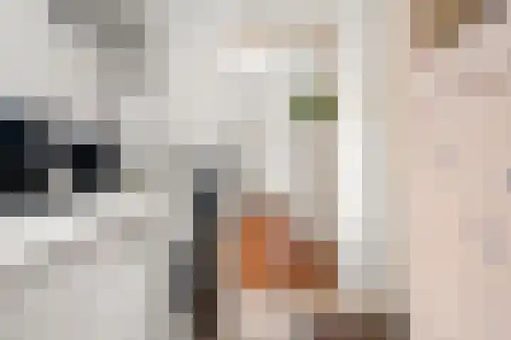 Nassaulaan 22 Bennekom thumbnail 16