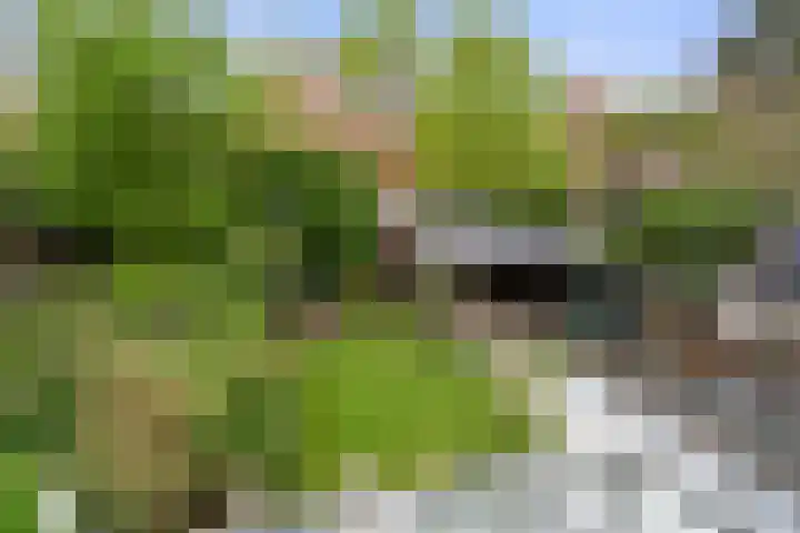 Nassaulaan 22 Bennekom thumbnail 22