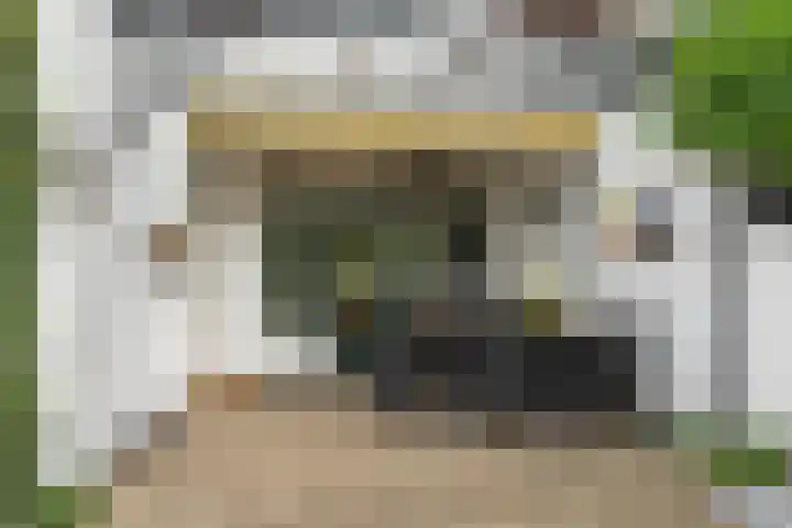 Nassaulaan 22 Bennekom thumbnail 30