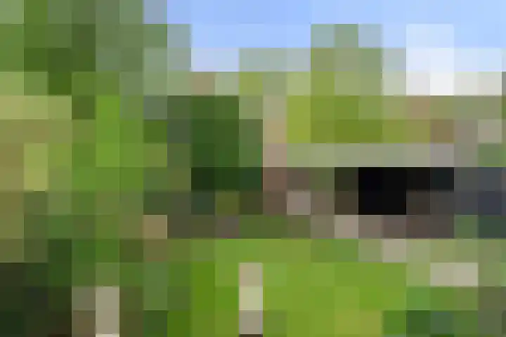 Nassaulaan 22 Bennekom thumbnail 32
