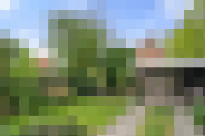 Nassaulaan 22 Bennekom thumbnail 33